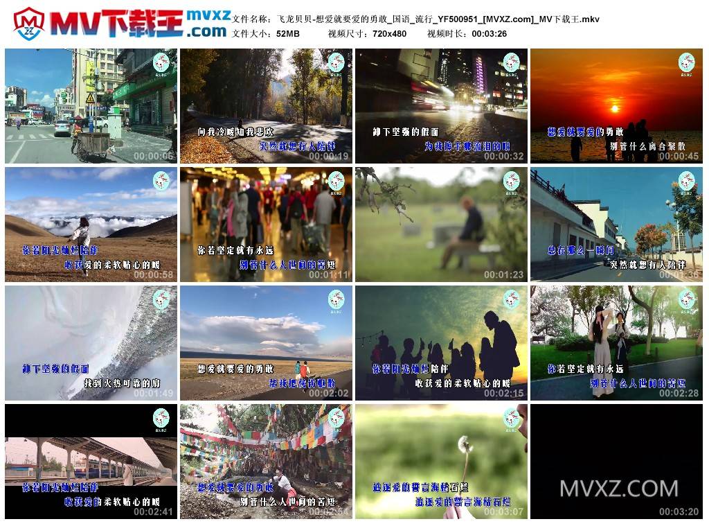 飞龙贝贝-想爱就要爱的勇敢_国语_流行_YF500951